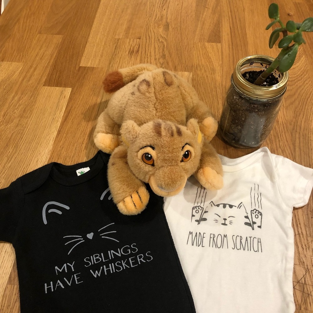 set of cat-themed 3-6 month onesies